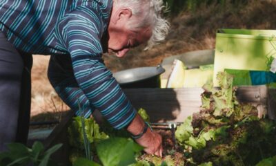 an older man is tending to a garden